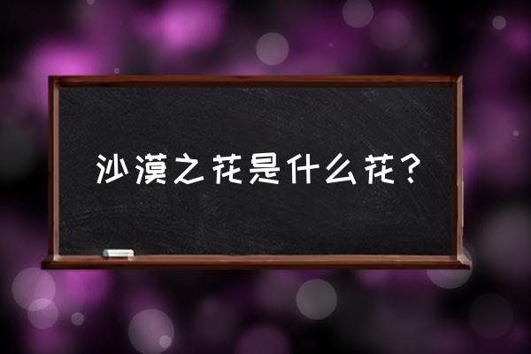 沙尼达而之花 沙漠之花是什么花？