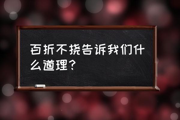 百折不挠的道理 百折不挠告诉我们什么道理？