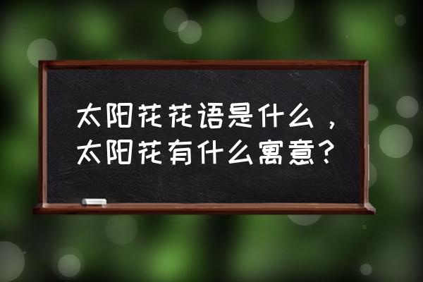 太阳花的寓意和花语 太阳花花语是什么，太阳花有什么寓意？