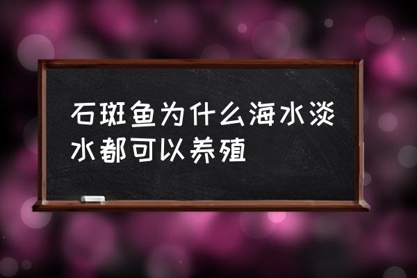 海水石斑鱼养殖 石斑鱼为什么海水淡水都可以养殖