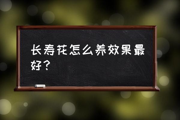 养长寿花有诀窍 长寿花怎么养效果最好？