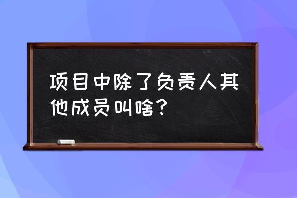 项目负责人是指什么人 项目中除了负责人其他成员叫啥？