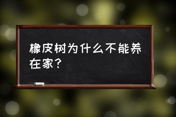 橡皮树为什么不能养在家 橡皮树为什么不能养在家？