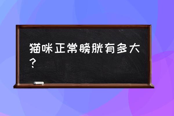 正常膀胱触诊 猫咪正常膀胱有多大？