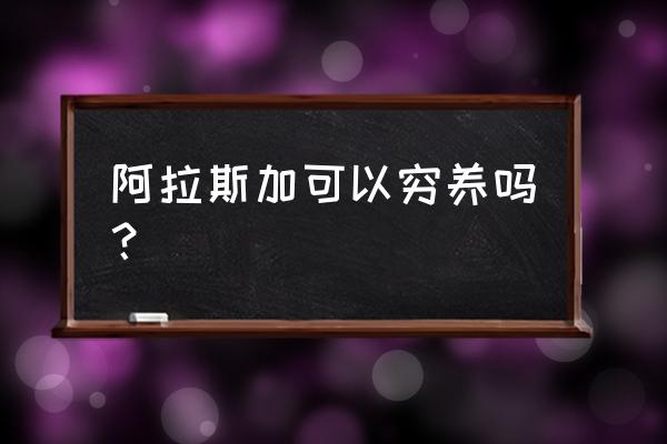 阿拉斯加可以穷养吗 阿拉斯加可以穷养吗？