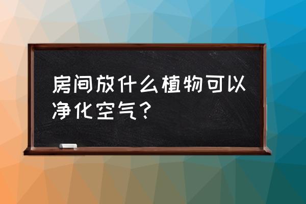 最适合室内净化空气的植物 房间放什么植物可以净化空气？