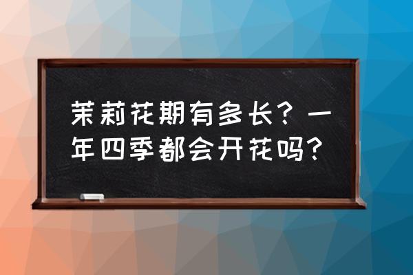 茉等花开一共几分钟 茉莉花期有多长？一年四季都会开花吗？