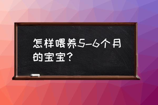 五至六个月宝宝 怎样喂养5-6个月的宝宝？