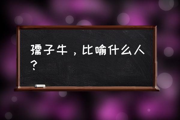 孺子牛的意思是指哪一类人 孺子牛，比喻什么人？