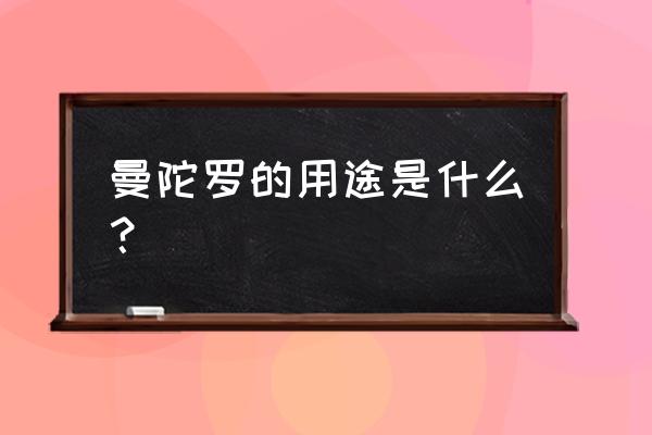 曼陀罗的功效与作用 曼陀罗的用途是什么？