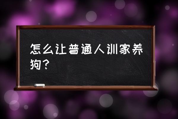 在家如何训狗 怎么让普通人训家养狗？