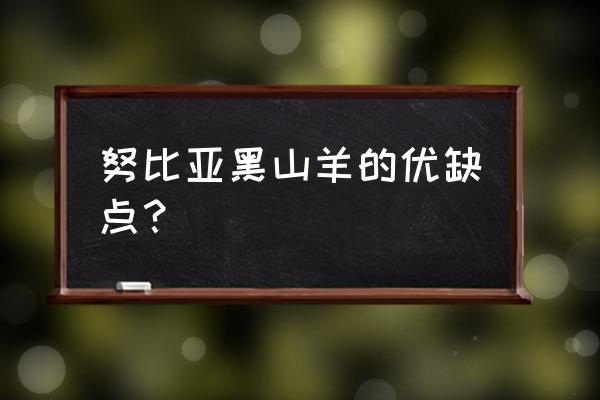 努比亚黑山羊的优缺点 努比亚黑山羊的优缺点？