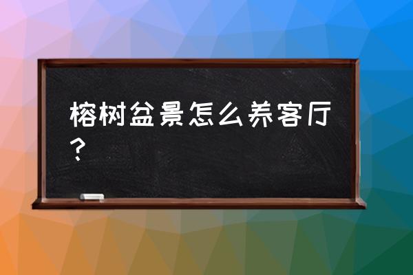 榕树盆景在室内怎么养 榕树盆景怎么养客厅？