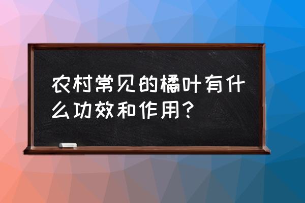 橘叶和金桔的功效一样吗 农村常见的橘叶有什么功效和作用？