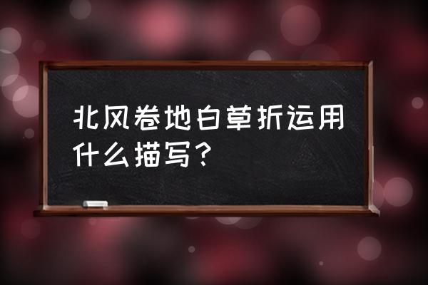 北风卷的白草折是什么角度 北风卷地白草折运用什么描写？