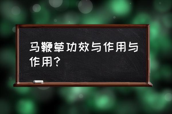 柳叶马鞭草的功效与作用 马鞭草功效与作用与作用？