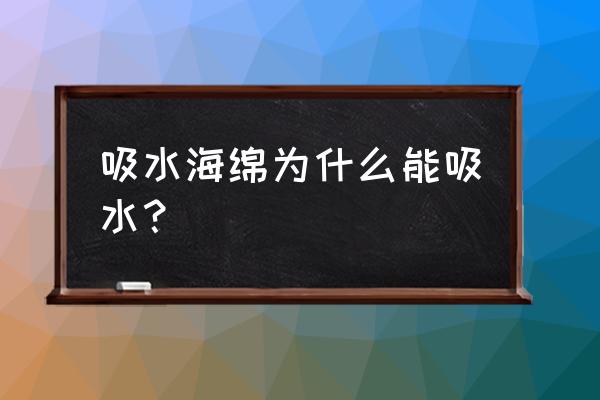 吸水海绵的作用 吸水海绵为什么能吸水？