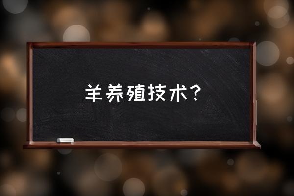 最新养羊技术大全 羊养殖技术？