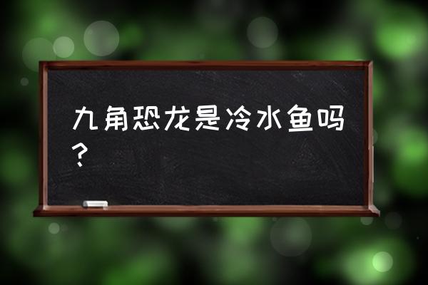 九角恐龙鱼 九角恐龙是冷水鱼吗？