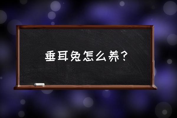 长毛垂耳兔怎么养 垂耳兔怎么养？