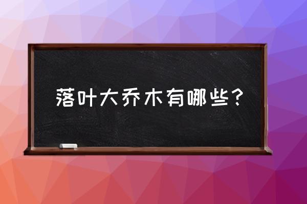 大乔木的代表种类 落叶大乔木有哪些？