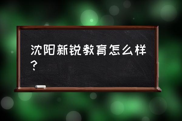 沈阳新锐时代 沈阳新锐教育怎么样？