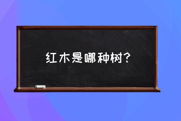 红木是什么树 红木是哪种树？