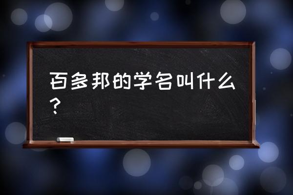 百多邦软膏多少钱一支15克 百多邦的学名叫什么？