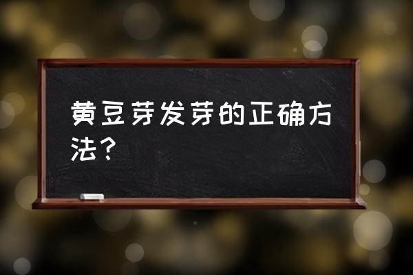 黄豆芽怎么发豆芽的步骤 黄豆芽发芽的正确方法？