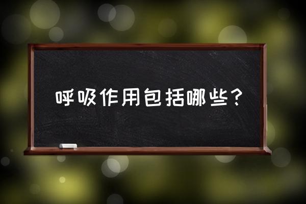 呼吸的作用有哪些方面 呼吸作用包括哪些？