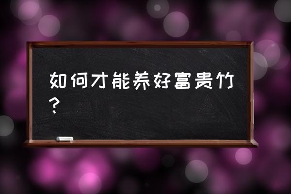 富贵竹如何养得好 如何才能养好富贵竹？