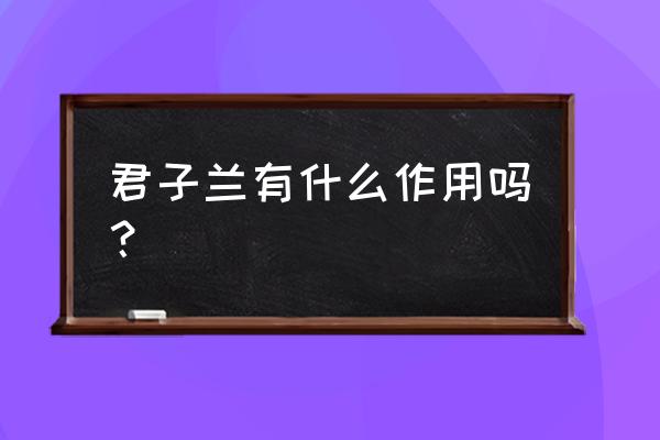 君子兰的作用与功效 君子兰有什么作用吗？