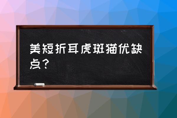 美短折耳虎斑猫 美短折耳虎斑猫优缺点？