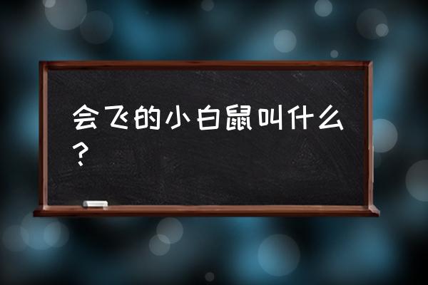 会飞的老鼠叫什么 会飞的小白鼠叫什么？