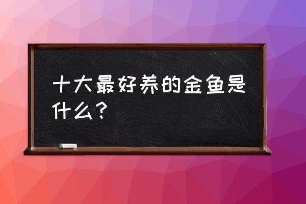 十大最好养的金鱼 十大最好养的金鱼是什么？