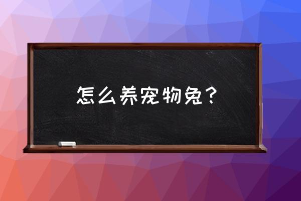 兔子怎么养宠物兔 怎么养宠物兔？