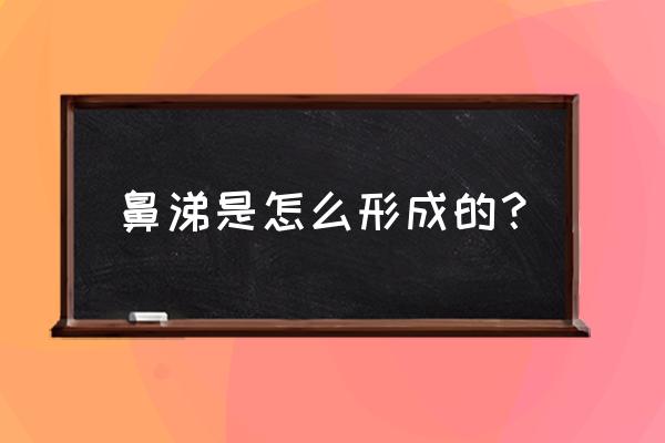 流鼻涕是什么原因引起的 鼻涕是怎么形成的？