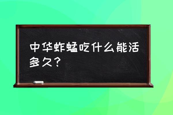 冬天蚂蚱吃什么 中华蚱蜢吃什么能活多久？