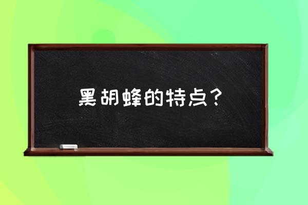 黑腹虎头蜂的秘密 黑胡蜂的特点？