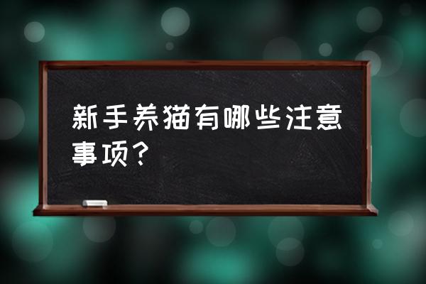 新手养猫必备注意事项 新手养猫有哪些注意事项？