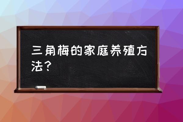 三角梅怎么养家庭养法 三角梅的家庭养殖方法？