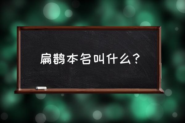 扁鹊的本名叫什么 扁鹊本名叫什么？