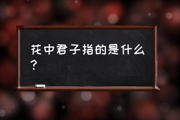 花中君子是的是什么意思 花中君子指的是什么？