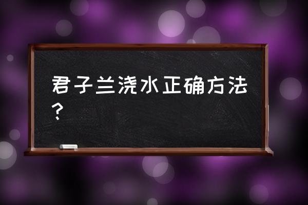 君子兰浇水方法 君子兰浇水正确方法？