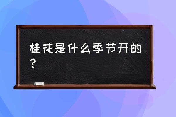 桂花在什么季节开放 桂花是什么季节开的？