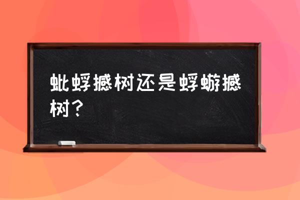 蜉蝣撼大树还是蚍蜉撼树 蚍蜉撼树还是蜉蝣撼树？