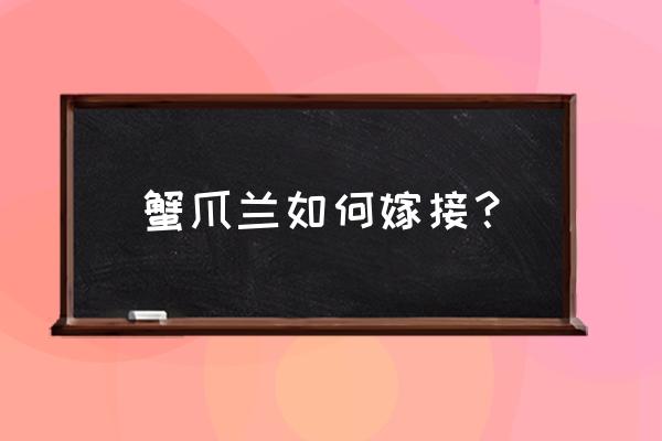 各种嫁接蟹爪兰的方法 蟹爪兰如何嫁接？