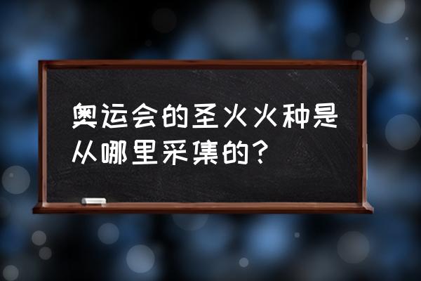 现代奥运圣火采集 奥运会的圣火火种是从哪里采集的？