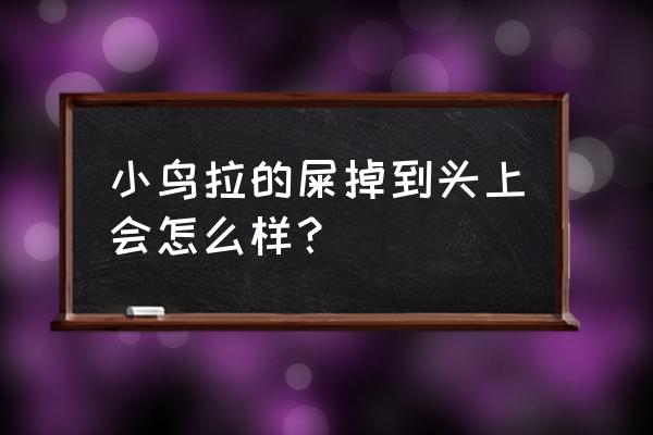 鸟屎掉头上十大征兆 小鸟拉的屎掉到头上会怎么样？