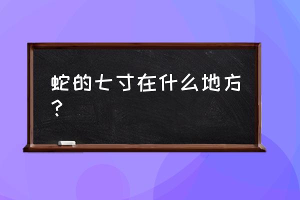 蛇的七寸是的是什么地方 蛇的七寸在什么地方？